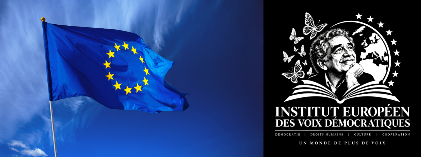 cropped-cropped-Diseno-sin-titulo-6-1.png